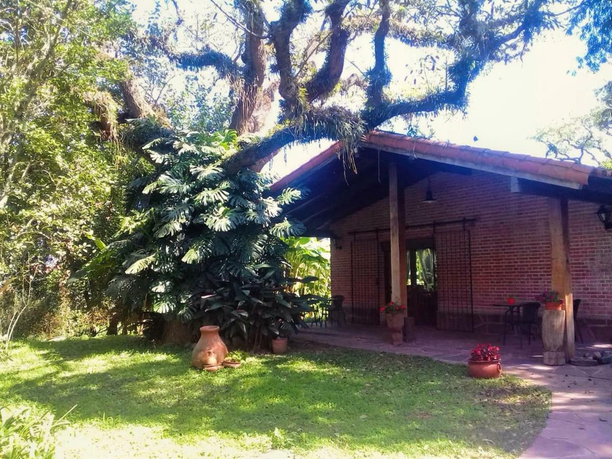 Terrazas Del Coya Hostel San Salvador de Jujuy Exterior foto